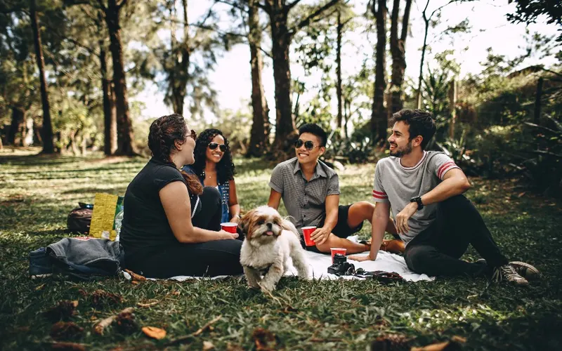 Amigos no parque