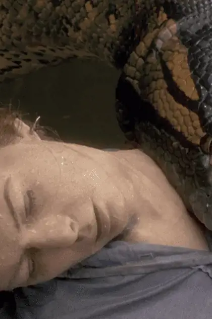 Arte ilustrativa de suspense